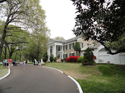 Graceland3